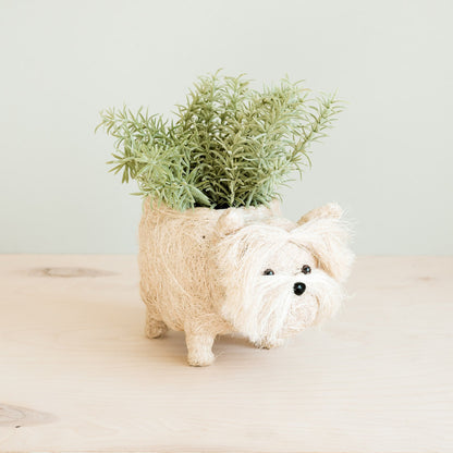 coco fibre plant pots Westie Planter - Coco Coir Pots