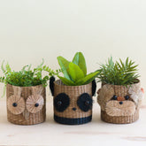 Pots & Planters - Owl 6" Seagrass Basket Planter - Succulent Plant Pot | LIKHA - LIKHÂ