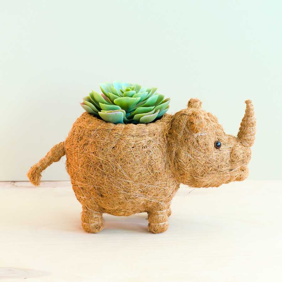 - Rhino Planter - Coco Coir Pot | LIKHA - LIKHÂ